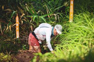 BIB: 
                            <button type="button" onclick="openModal(13423496)" class="btn btn-primary btn-sm float-right btn-popup" data-toggle="modal" data-target=".modal-high-quality">
                        <i class="fas fa-shopping-cart"></i> Add to Cart
                    </button>
                                            <button type="button" onclick="isThisMe(13423496, true)" class="btn btn-success btn-sm float-right btn-popup btn-isme hidden" data-toggle="tooltip" data-placement="bottom" title="นี่คือรูปของคุณใช่ไหม คลิกที่นี่เพื่อเอาเข้าอัลบั้ม">
                        <i class="fas fa-plus"></i> Add to album
                    </button>
                    <button type="button" onclick="isThisMe(13423496, false)" class="btn btn-warning btn-sm float-right btn-popup btn-isnotme hidden">
                        <i class="fas fa-ban"></i> Remove from album
                    </button>