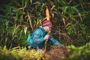 BIB: 
                            <button type="button" onclick="openModal(13423555)" class="btn btn-primary btn-sm float-right btn-popup" data-toggle="modal" data-target=".modal-high-quality">
                        <i class="fas fa-shopping-cart"></i> Add to Cart
                    </button>
                                            <button type="button" onclick="isThisMe(13423555, true)" class="btn btn-success btn-sm float-right btn-popup btn-isme hidden" data-toggle="tooltip" data-placement="bottom" title="นี่คือรูปของคุณใช่ไหม คลิกที่นี่เพื่อเอาเข้าอัลบั้ม">
                        <i class="fas fa-plus"></i> Add to album
                    </button>
                    <button type="button" onclick="isThisMe(13423555, false)" class="btn btn-warning btn-sm float-right btn-popup btn-isnotme hidden">
                        <i class="fas fa-ban"></i> Remove from album
                    </button>