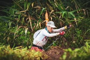 BIB: 
                            <button type="button" onclick="openModal(13423490)" class="btn btn-primary btn-sm float-right btn-popup" data-toggle="modal" data-target=".modal-high-quality">
                        <i class="fas fa-shopping-cart"></i> Add to Cart
                    </button>
                                            <button type="button" onclick="isThisMe(13423490, true)" class="btn btn-success btn-sm float-right btn-popup btn-isme hidden" data-toggle="tooltip" data-placement="bottom" title="นี่คือรูปของคุณใช่ไหม คลิกที่นี่เพื่อเอาเข้าอัลบั้ม">
                        <i class="fas fa-plus"></i> Add to album
                    </button>
                    <button type="button" onclick="isThisMe(13423490, false)" class="btn btn-warning btn-sm float-right btn-popup btn-isnotme hidden">
                        <i class="fas fa-ban"></i> Remove from album
                    </button>