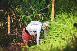 BIB: 
                            <button type="button" onclick="openModal(13423497)" class="btn btn-primary btn-sm float-right btn-popup" data-toggle="modal" data-target=".modal-high-quality">
                        <i class="fas fa-shopping-cart"></i> Add to Cart
                    </button>
                                            <button type="button" onclick="isThisMe(13423497, true)" class="btn btn-success btn-sm float-right btn-popup btn-isme hidden" data-toggle="tooltip" data-placement="bottom" title="นี่คือรูปของคุณใช่ไหม คลิกที่นี่เพื่อเอาเข้าอัลบั้ม">
                        <i class="fas fa-plus"></i> Add to album
                    </button>
                    <button type="button" onclick="isThisMe(13423497, false)" class="btn btn-warning btn-sm float-right btn-popup btn-isnotme hidden">
                        <i class="fas fa-ban"></i> Remove from album
                    </button>