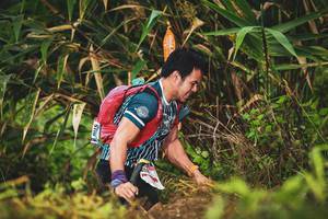 BIB: 
                            <button type="button" onclick="openModal(13422085)" class="btn btn-primary btn-sm float-right btn-popup" data-toggle="modal" data-target=".modal-high-quality">
                        <i class="fas fa-shopping-cart"></i> Add to Cart
                    </button>
                                            <button type="button" onclick="isThisMe(13422085, true)" class="btn btn-success btn-sm float-right btn-popup btn-isme hidden" data-toggle="tooltip" data-placement="bottom" title="นี่คือรูปของคุณใช่ไหม คลิกที่นี่เพื่อเอาเข้าอัลบั้ม">
                        <i class="fas fa-plus"></i> Add to album
                    </button>
                    <button type="button" onclick="isThisMe(13422085, false)" class="btn btn-warning btn-sm float-right btn-popup btn-isnotme hidden">
                        <i class="fas fa-ban"></i> Remove from album
                    </button>