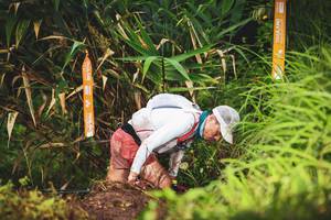 BIB: 
                            <button type="button" onclick="openModal(13423495)" class="btn btn-primary btn-sm float-right btn-popup" data-toggle="modal" data-target=".modal-high-quality">
                        <i class="fas fa-shopping-cart"></i> Add to Cart
                    </button>
                                            <button type="button" onclick="isThisMe(13423495, true)" class="btn btn-success btn-sm float-right btn-popup btn-isme hidden" data-toggle="tooltip" data-placement="bottom" title="นี่คือรูปของคุณใช่ไหม คลิกที่นี่เพื่อเอาเข้าอัลบั้ม">
                        <i class="fas fa-plus"></i> Add to album
                    </button>
                    <button type="button" onclick="isThisMe(13423495, false)" class="btn btn-warning btn-sm float-right btn-popup btn-isnotme hidden">
                        <i class="fas fa-ban"></i> Remove from album
                    </button>