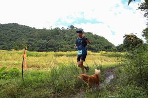 BIB: 
                            <button type="button" onclick="openModal(13424861)" class="btn btn-primary btn-sm float-right btn-popup" data-toggle="modal" data-target=".modal-high-quality">
                        <i class="fas fa-shopping-cart"></i> Add to Cart
                    </button>
                                            <button type="button" onclick="isThisMe(13424861, true)" class="btn btn-success btn-sm float-right btn-popup btn-isme hidden" data-toggle="tooltip" data-placement="bottom" title="นี่คือรูปของคุณใช่ไหม คลิกที่นี่เพื่อเอาเข้าอัลบั้ม">
                        <i class="fas fa-plus"></i> Add to album
                    </button>
                    <button type="button" onclick="isThisMe(13424861, false)" class="btn btn-warning btn-sm float-right btn-popup btn-isnotme hidden">
                        <i class="fas fa-ban"></i> Remove from album
                    </button>