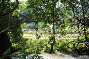 BIB: 
                            <button type="button" onclick="openModal(13423664)" class="btn btn-primary btn-sm float-right btn-popup" data-toggle="modal" data-target=".modal-high-quality">
                        <i class="fas fa-shopping-cart"></i> Add to Cart
                    </button>
                                            <button type="button" onclick="isThisMe(13423664, true)" class="btn btn-success btn-sm float-right btn-popup btn-isme hidden" data-toggle="tooltip" data-placement="bottom" title="นี่คือรูปของคุณใช่ไหม คลิกที่นี่เพื่อเอาเข้าอัลบั้ม">
                        <i class="fas fa-plus"></i> Add to album
                    </button>
                    <button type="button" onclick="isThisMe(13423664, false)" class="btn btn-warning btn-sm float-right btn-popup btn-isnotme hidden">
                        <i class="fas fa-ban"></i> Remove from album
                    </button>