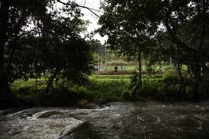 BIB: 
                            <button type="button" onclick="openModal(13423656)" class="btn btn-primary btn-sm float-right btn-popup" data-toggle="modal" data-target=".modal-high-quality">
                        <i class="fas fa-shopping-cart"></i> Add to Cart
                    </button>
                                            <button type="button" onclick="isThisMe(13423656, true)" class="btn btn-success btn-sm float-right btn-popup btn-isme hidden" data-toggle="tooltip" data-placement="bottom" title="นี่คือรูปของคุณใช่ไหม คลิกที่นี่เพื่อเอาเข้าอัลบั้ม">
                        <i class="fas fa-plus"></i> Add to album
                    </button>
                    <button type="button" onclick="isThisMe(13423656, false)" class="btn btn-warning btn-sm float-right btn-popup btn-isnotme hidden">
                        <i class="fas fa-ban"></i> Remove from album
                    </button>