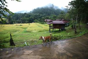 BIB: 
                            <button type="button" onclick="openModal(13423365)" class="btn btn-primary btn-sm float-right btn-popup" data-toggle="modal" data-target=".modal-high-quality">
                        <i class="fas fa-shopping-cart"></i> Add to Cart
                    </button>
                                            <button type="button" onclick="isThisMe(13423365, true)" class="btn btn-success btn-sm float-right btn-popup btn-isme hidden" data-toggle="tooltip" data-placement="bottom" title="นี่คือรูปของคุณใช่ไหม คลิกที่นี่เพื่อเอาเข้าอัลบั้ม">
                        <i class="fas fa-plus"></i> Add to album
                    </button>
                    <button type="button" onclick="isThisMe(13423365, false)" class="btn btn-warning btn-sm float-right btn-popup btn-isnotme hidden">
                        <i class="fas fa-ban"></i> Remove from album
                    </button>