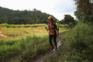 BIB: 
                            <button type="button" onclick="openModal(13425588)" class="btn btn-primary btn-sm float-right btn-popup" data-toggle="modal" data-target=".modal-high-quality">
                        <i class="fas fa-shopping-cart"></i> Add to Cart
                    </button>
                                            <button type="button" onclick="isThisMe(13425588, true)" class="btn btn-success btn-sm float-right btn-popup btn-isme hidden" data-toggle="tooltip" data-placement="bottom" title="นี่คือรูปของคุณใช่ไหม คลิกที่นี่เพื่อเอาเข้าอัลบั้ม">
                        <i class="fas fa-plus"></i> Add to album
                    </button>
                    <button type="button" onclick="isThisMe(13425588, false)" class="btn btn-warning btn-sm float-right btn-popup btn-isnotme hidden">
                        <i class="fas fa-ban"></i> Remove from album
                    </button>