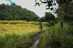 BIB: 
                            <button type="button" onclick="openModal(13424913)" class="btn btn-primary btn-sm float-right btn-popup" data-toggle="modal" data-target=".modal-high-quality">
                        <i class="fas fa-shopping-cart"></i> Add to Cart
                    </button>
                                            <button type="button" onclick="isThisMe(13424913, true)" class="btn btn-success btn-sm float-right btn-popup btn-isme hidden" data-toggle="tooltip" data-placement="bottom" title="นี่คือรูปของคุณใช่ไหม คลิกที่นี่เพื่อเอาเข้าอัลบั้ม">
                        <i class="fas fa-plus"></i> Add to album
                    </button>
                    <button type="button" onclick="isThisMe(13424913, false)" class="btn btn-warning btn-sm float-right btn-popup btn-isnotme hidden">
                        <i class="fas fa-ban"></i> Remove from album
                    </button>