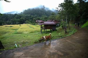 BIB: 
                            <button type="button" onclick="openModal(13423362)" class="btn btn-primary btn-sm float-right btn-popup" data-toggle="modal" data-target=".modal-high-quality">
                        <i class="fas fa-shopping-cart"></i> Add to Cart
                    </button>
                                            <button type="button" onclick="isThisMe(13423362, true)" class="btn btn-success btn-sm float-right btn-popup btn-isme hidden" data-toggle="tooltip" data-placement="bottom" title="นี่คือรูปของคุณใช่ไหม คลิกที่นี่เพื่อเอาเข้าอัลบั้ม">
                        <i class="fas fa-plus"></i> Add to album
                    </button>
                    <button type="button" onclick="isThisMe(13423362, false)" class="btn btn-warning btn-sm float-right btn-popup btn-isnotme hidden">
                        <i class="fas fa-ban"></i> Remove from album
                    </button>