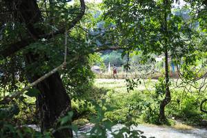 BIB: 
                            <button type="button" onclick="openModal(13423662)" class="btn btn-primary btn-sm float-right btn-popup" data-toggle="modal" data-target=".modal-high-quality">
                        <i class="fas fa-shopping-cart"></i> Add to Cart
                    </button>
                                            <button type="button" onclick="isThisMe(13423662, true)" class="btn btn-success btn-sm float-right btn-popup btn-isme hidden" data-toggle="tooltip" data-placement="bottom" title="นี่คือรูปของคุณใช่ไหม คลิกที่นี่เพื่อเอาเข้าอัลบั้ม">
                        <i class="fas fa-plus"></i> Add to album
                    </button>
                    <button type="button" onclick="isThisMe(13423662, false)" class="btn btn-warning btn-sm float-right btn-popup btn-isnotme hidden">
                        <i class="fas fa-ban"></i> Remove from album
                    </button>