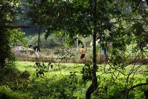 BIB: 
                            <button type="button" onclick="openModal(13423660)" class="btn btn-primary btn-sm float-right btn-popup" data-toggle="modal" data-target=".modal-high-quality">
                        <i class="fas fa-shopping-cart"></i> Add to Cart
                    </button>
                                            <button type="button" onclick="isThisMe(13423660, true)" class="btn btn-success btn-sm float-right btn-popup btn-isme hidden" data-toggle="tooltip" data-placement="bottom" title="นี่คือรูปของคุณใช่ไหม คลิกที่นี่เพื่อเอาเข้าอัลบั้ม">
                        <i class="fas fa-plus"></i> Add to album
                    </button>
                    <button type="button" onclick="isThisMe(13423660, false)" class="btn btn-warning btn-sm float-right btn-popup btn-isnotme hidden">
                        <i class="fas fa-ban"></i> Remove from album
                    </button>