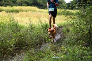 BIB: 
                            <button type="button" onclick="openModal(13424860)" class="btn btn-primary btn-sm float-right btn-popup" data-toggle="modal" data-target=".modal-high-quality">
                        <i class="fas fa-shopping-cart"></i> Add to Cart
                    </button>
                                            <button type="button" onclick="isThisMe(13424860, true)" class="btn btn-success btn-sm float-right btn-popup btn-isme hidden" data-toggle="tooltip" data-placement="bottom" title="นี่คือรูปของคุณใช่ไหม คลิกที่นี่เพื่อเอาเข้าอัลบั้ม">
                        <i class="fas fa-plus"></i> Add to album
                    </button>
                    <button type="button" onclick="isThisMe(13424860, false)" class="btn btn-warning btn-sm float-right btn-popup btn-isnotme hidden">
                        <i class="fas fa-ban"></i> Remove from album
                    </button>