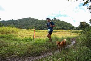 BIB: 
                            <button type="button" onclick="openModal(13424867)" class="btn btn-primary btn-sm float-right btn-popup" data-toggle="modal" data-target=".modal-high-quality">
                        <i class="fas fa-shopping-cart"></i> Add to Cart
                    </button>
                                            <button type="button" onclick="isThisMe(13424867, true)" class="btn btn-success btn-sm float-right btn-popup btn-isme hidden" data-toggle="tooltip" data-placement="bottom" title="นี่คือรูปของคุณใช่ไหม คลิกที่นี่เพื่อเอาเข้าอัลบั้ม">
                        <i class="fas fa-plus"></i> Add to album
                    </button>
                    <button type="button" onclick="isThisMe(13424867, false)" class="btn btn-warning btn-sm float-right btn-popup btn-isnotme hidden">
                        <i class="fas fa-ban"></i> Remove from album
                    </button>