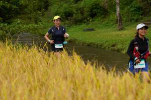 BIB: 
                            <button type="button" onclick="openModal(13492465)" class="btn btn-primary btn-sm float-right btn-popup" data-toggle="modal" data-target=".modal-high-quality">
                        <i class="fas fa-shopping-cart"></i> Add to Cart
                    </button>
                                            <button type="button" onclick="isThisMe(13492465, true)" class="btn btn-success btn-sm float-right btn-popup btn-isme hidden" data-toggle="tooltip" data-placement="bottom" title="นี่คือรูปของคุณใช่ไหม คลิกที่นี่เพื่อเอาเข้าอัลบั้ม">
                        <i class="fas fa-plus"></i> Add to album
                    </button>
                    <button type="button" onclick="isThisMe(13492465, false)" class="btn btn-warning btn-sm float-right btn-popup btn-isnotme hidden">
                        <i class="fas fa-ban"></i> Remove from album
                    </button>