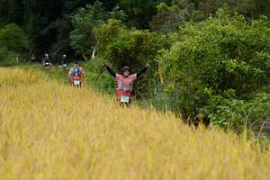 BIB: 
                            <button type="button" onclick="openModal(13492441)" class="btn btn-primary btn-sm float-right btn-popup" data-toggle="modal" data-target=".modal-high-quality">
                        <i class="fas fa-shopping-cart"></i> Add to Cart
                    </button>
                                            <button type="button" onclick="isThisMe(13492441, true)" class="btn btn-success btn-sm float-right btn-popup btn-isme hidden" data-toggle="tooltip" data-placement="bottom" title="นี่คือรูปของคุณใช่ไหม คลิกที่นี่เพื่อเอาเข้าอัลบั้ม">
                        <i class="fas fa-plus"></i> Add to album
                    </button>
                    <button type="button" onclick="isThisMe(13492441, false)" class="btn btn-warning btn-sm float-right btn-popup btn-isnotme hidden">
                        <i class="fas fa-ban"></i> Remove from album
                    </button>