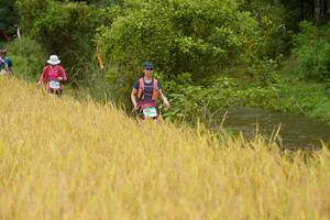 BIB: 
                            <button type="button" onclick="openModal(13492217)" class="btn btn-primary btn-sm float-right btn-popup" data-toggle="modal" data-target=".modal-high-quality">
                        <i class="fas fa-shopping-cart"></i> Add to Cart
                    </button>
                                            <button type="button" onclick="isThisMe(13492217, true)" class="btn btn-success btn-sm float-right btn-popup btn-isme hidden" data-toggle="tooltip" data-placement="bottom" title="นี่คือรูปของคุณใช่ไหม คลิกที่นี่เพื่อเอาเข้าอัลบั้ม">
                        <i class="fas fa-plus"></i> Add to album
                    </button>
                    <button type="button" onclick="isThisMe(13492217, false)" class="btn btn-warning btn-sm float-right btn-popup btn-isnotme hidden">
                        <i class="fas fa-ban"></i> Remove from album
                    </button>