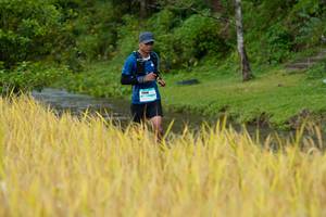 BIB: 196
                            <button type="button" onclick="openModal(13491308)" class="btn btn-primary btn-sm float-right btn-popup" data-toggle="modal" data-target=".modal-high-quality">
                        <i class="fas fa-shopping-cart"></i> Add to Cart
                    </button>
                                            <button type="button" onclick="isThisMe(13491308, true)" class="btn btn-success btn-sm float-right btn-popup btn-isme hidden" data-toggle="tooltip" data-placement="bottom" title="นี่คือรูปของคุณใช่ไหม คลิกที่นี่เพื่อเอาเข้าอัลบั้ม">
                        <i class="fas fa-plus"></i> Add to album
                    </button>
                    <button type="button" onclick="isThisMe(13491308, false)" class="btn btn-warning btn-sm float-right btn-popup btn-isnotme hidden">
                        <i class="fas fa-ban"></i> Remove from album
                    </button>