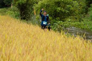 BIB: 
                            <button type="button" onclick="openModal(13493303)" class="btn btn-primary btn-sm float-right btn-popup" data-toggle="modal" data-target=".modal-high-quality">
                        <i class="fas fa-shopping-cart"></i> Add to Cart
                    </button>
                                            <button type="button" onclick="isThisMe(13493303, true)" class="btn btn-success btn-sm float-right btn-popup btn-isme hidden" data-toggle="tooltip" data-placement="bottom" title="นี่คือรูปของคุณใช่ไหม คลิกที่นี่เพื่อเอาเข้าอัลบั้ม">
                        <i class="fas fa-plus"></i> Add to album
                    </button>
                    <button type="button" onclick="isThisMe(13493303, false)" class="btn btn-warning btn-sm float-right btn-popup btn-isnotme hidden">
                        <i class="fas fa-ban"></i> Remove from album
                    </button>