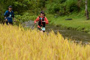 BIB: 
                            <button type="button" onclick="openModal(13493448)" class="btn btn-primary btn-sm float-right btn-popup" data-toggle="modal" data-target=".modal-high-quality">
                        <i class="fas fa-shopping-cart"></i> Add to Cart
                    </button>
                                            <button type="button" onclick="isThisMe(13493448, true)" class="btn btn-success btn-sm float-right btn-popup btn-isme hidden" data-toggle="tooltip" data-placement="bottom" title="นี่คือรูปของคุณใช่ไหม คลิกที่นี่เพื่อเอาเข้าอัลบั้ม">
                        <i class="fas fa-plus"></i> Add to album
                    </button>
                    <button type="button" onclick="isThisMe(13493448, false)" class="btn btn-warning btn-sm float-right btn-popup btn-isnotme hidden">
                        <i class="fas fa-ban"></i> Remove from album
                    </button>