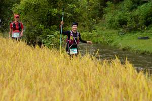 BIB: 
                            <button type="button" onclick="openModal(13493337)" class="btn btn-primary btn-sm float-right btn-popup" data-toggle="modal" data-target=".modal-high-quality">
                        <i class="fas fa-shopping-cart"></i> Add to Cart
                    </button>
                                            <button type="button" onclick="isThisMe(13493337, true)" class="btn btn-success btn-sm float-right btn-popup btn-isme hidden" data-toggle="tooltip" data-placement="bottom" title="นี่คือรูปของคุณใช่ไหม คลิกที่นี่เพื่อเอาเข้าอัลบั้ม">
                        <i class="fas fa-plus"></i> Add to album
                    </button>
                    <button type="button" onclick="isThisMe(13493337, false)" class="btn btn-warning btn-sm float-right btn-popup btn-isnotme hidden">
                        <i class="fas fa-ban"></i> Remove from album
                    </button>