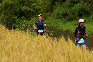 BIB: 
                            <button type="button" onclick="openModal(13492464)" class="btn btn-primary btn-sm float-right btn-popup" data-toggle="modal" data-target=".modal-high-quality">
                        <i class="fas fa-shopping-cart"></i> Add to Cart
                    </button>
                                            <button type="button" onclick="isThisMe(13492464, true)" class="btn btn-success btn-sm float-right btn-popup btn-isme hidden" data-toggle="tooltip" data-placement="bottom" title="นี่คือรูปของคุณใช่ไหม คลิกที่นี่เพื่อเอาเข้าอัลบั้ม">
                        <i class="fas fa-plus"></i> Add to album
                    </button>
                    <button type="button" onclick="isThisMe(13492464, false)" class="btn btn-warning btn-sm float-right btn-popup btn-isnotme hidden">
                        <i class="fas fa-ban"></i> Remove from album
                    </button>