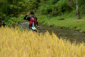 BIB: 
                            <button type="button" onclick="openModal(13493122)" class="btn btn-primary btn-sm float-right btn-popup" data-toggle="modal" data-target=".modal-high-quality">
                        <i class="fas fa-shopping-cart"></i> Add to Cart
                    </button>
                                            <button type="button" onclick="isThisMe(13493122, true)" class="btn btn-success btn-sm float-right btn-popup btn-isme hidden" data-toggle="tooltip" data-placement="bottom" title="นี่คือรูปของคุณใช่ไหม คลิกที่นี่เพื่อเอาเข้าอัลบั้ม">
                        <i class="fas fa-plus"></i> Add to album
                    </button>
                    <button type="button" onclick="isThisMe(13493122, false)" class="btn btn-warning btn-sm float-right btn-popup btn-isnotme hidden">
                        <i class="fas fa-ban"></i> Remove from album
                    </button>