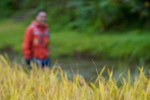 BIB: 
                            <button type="button" onclick="openModal(13491494)" class="btn btn-primary btn-sm float-right btn-popup" data-toggle="modal" data-target=".modal-high-quality">
                        <i class="fas fa-shopping-cart"></i> Add to Cart
                    </button>
                                            <button type="button" onclick="isThisMe(13491494, true)" class="btn btn-success btn-sm float-right btn-popup btn-isme hidden" data-toggle="tooltip" data-placement="bottom" title="นี่คือรูปของคุณใช่ไหม คลิกที่นี่เพื่อเอาเข้าอัลบั้ม">
                        <i class="fas fa-plus"></i> Add to album
                    </button>
                    <button type="button" onclick="isThisMe(13491494, false)" class="btn btn-warning btn-sm float-right btn-popup btn-isnotme hidden">
                        <i class="fas fa-ban"></i> Remove from album
                    </button>