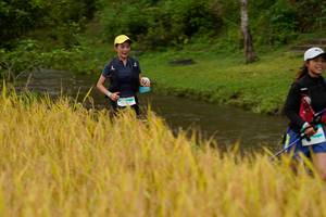 BIB: 
                            <button type="button" onclick="openModal(13492466)" class="btn btn-primary btn-sm float-right btn-popup" data-toggle="modal" data-target=".modal-high-quality">
                        <i class="fas fa-shopping-cart"></i> Add to Cart
                    </button>
                                            <button type="button" onclick="isThisMe(13492466, true)" class="btn btn-success btn-sm float-right btn-popup btn-isme hidden" data-toggle="tooltip" data-placement="bottom" title="นี่คือรูปของคุณใช่ไหม คลิกที่นี่เพื่อเอาเข้าอัลบั้ม">
                        <i class="fas fa-plus"></i> Add to album
                    </button>
                    <button type="button" onclick="isThisMe(13492466, false)" class="btn btn-warning btn-sm float-right btn-popup btn-isnotme hidden">
                        <i class="fas fa-ban"></i> Remove from album
                    </button>