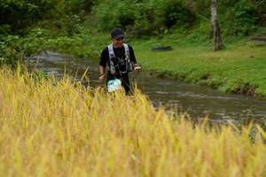 BIB: 692
                            <button type="button" onclick="openModal(13493067)" class="btn btn-primary btn-sm float-right btn-popup" data-toggle="modal" data-target=".modal-high-quality">
                        <i class="fas fa-shopping-cart"></i> Add to Cart
                    </button>
                                            <button type="button" onclick="isThisMe(13493067, true)" class="btn btn-success btn-sm float-right btn-popup btn-isme hidden" data-toggle="tooltip" data-placement="bottom" title="นี่คือรูปของคุณใช่ไหม คลิกที่นี่เพื่อเอาเข้าอัลบั้ม">
                        <i class="fas fa-plus"></i> Add to album
                    </button>
                    <button type="button" onclick="isThisMe(13493067, false)" class="btn btn-warning btn-sm float-right btn-popup btn-isnotme hidden">
                        <i class="fas fa-ban"></i> Remove from album
                    </button>