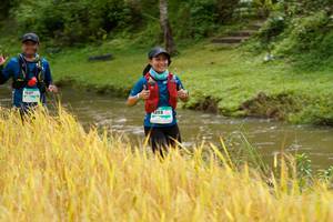 BIB: 1637, 1203
                            <button type="button" onclick="openModal(13492019)" class="btn btn-primary btn-sm float-right btn-popup" data-toggle="modal" data-target=".modal-high-quality">
                        <i class="fas fa-shopping-cart"></i> Add to Cart
                    </button>
                                            <button type="button" onclick="isThisMe(13492019, true)" class="btn btn-success btn-sm float-right btn-popup btn-isme hidden" data-toggle="tooltip" data-placement="bottom" title="นี่คือรูปของคุณใช่ไหม คลิกที่นี่เพื่อเอาเข้าอัลบั้ม">
                        <i class="fas fa-plus"></i> Add to album
                    </button>
                    <button type="button" onclick="isThisMe(13492019, false)" class="btn btn-warning btn-sm float-right btn-popup btn-isnotme hidden">
                        <i class="fas fa-ban"></i> Remove from album
                    </button>