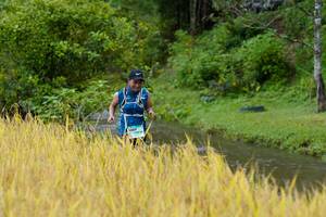 BIB: 1007
                            <button type="button" onclick="openModal(13491505)" class="btn btn-primary btn-sm float-right btn-popup" data-toggle="modal" data-target=".modal-high-quality">
                        <i class="fas fa-shopping-cart"></i> Add to Cart
                    </button>
                                            <button type="button" onclick="isThisMe(13491505, true)" class="btn btn-success btn-sm float-right btn-popup btn-isme hidden" data-toggle="tooltip" data-placement="bottom" title="นี่คือรูปของคุณใช่ไหม คลิกที่นี่เพื่อเอาเข้าอัลบั้ม">
                        <i class="fas fa-plus"></i> Add to album
                    </button>
                    <button type="button" onclick="isThisMe(13491505, false)" class="btn btn-warning btn-sm float-right btn-popup btn-isnotme hidden">
                        <i class="fas fa-ban"></i> Remove from album
                    </button>