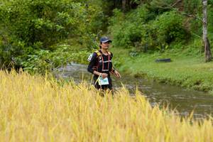 BIB: 
                            <button type="button" onclick="openModal(13493435)" class="btn btn-primary btn-sm float-right btn-popup" data-toggle="modal" data-target=".modal-high-quality">
                        <i class="fas fa-shopping-cart"></i> Add to Cart
                    </button>
                                            <button type="button" onclick="isThisMe(13493435, true)" class="btn btn-success btn-sm float-right btn-popup btn-isme hidden" data-toggle="tooltip" data-placement="bottom" title="นี่คือรูปของคุณใช่ไหม คลิกที่นี่เพื่อเอาเข้าอัลบั้ม">
                        <i class="fas fa-plus"></i> Add to album
                    </button>
                    <button type="button" onclick="isThisMe(13493435, false)" class="btn btn-warning btn-sm float-right btn-popup btn-isnotme hidden">
                        <i class="fas fa-ban"></i> Remove from album
                    </button>