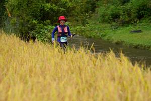 BIB: 
                            <button type="button" onclick="openModal(13492509)" class="btn btn-primary btn-sm float-right btn-popup" data-toggle="modal" data-target=".modal-high-quality">
                        <i class="fas fa-shopping-cart"></i> Add to Cart
                    </button>
                                            <button type="button" onclick="isThisMe(13492509, true)" class="btn btn-success btn-sm float-right btn-popup btn-isme hidden" data-toggle="tooltip" data-placement="bottom" title="นี่คือรูปของคุณใช่ไหม คลิกที่นี่เพื่อเอาเข้าอัลบั้ม">
                        <i class="fas fa-plus"></i> Add to album
                    </button>
                    <button type="button" onclick="isThisMe(13492509, false)" class="btn btn-warning btn-sm float-right btn-popup btn-isnotme hidden">
                        <i class="fas fa-ban"></i> Remove from album
                    </button>