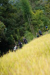 BIB: 
                            <button type="button" onclick="openModal(13493105)" class="btn btn-primary btn-sm float-right btn-popup" data-toggle="modal" data-target=".modal-high-quality">
                        <i class="fas fa-shopping-cart"></i> Add to Cart
                    </button>
                                            <button type="button" onclick="isThisMe(13493105, true)" class="btn btn-success btn-sm float-right btn-popup btn-isme hidden" data-toggle="tooltip" data-placement="bottom" title="นี่คือรูปของคุณใช่ไหม คลิกที่นี่เพื่อเอาเข้าอัลบั้ม">
                        <i class="fas fa-plus"></i> Add to album
                    </button>
                    <button type="button" onclick="isThisMe(13493105, false)" class="btn btn-warning btn-sm float-right btn-popup btn-isnotme hidden">
                        <i class="fas fa-ban"></i> Remove from album
                    </button>