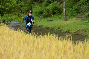 BIB: 
                            <button type="button" onclick="openModal(13491159)" class="btn btn-primary btn-sm float-right btn-popup" data-toggle="modal" data-target=".modal-high-quality">
                        <i class="fas fa-shopping-cart"></i> Add to Cart
                    </button>
                                            <button type="button" onclick="isThisMe(13491159, true)" class="btn btn-success btn-sm float-right btn-popup btn-isme hidden" data-toggle="tooltip" data-placement="bottom" title="นี่คือรูปของคุณใช่ไหม คลิกที่นี่เพื่อเอาเข้าอัลบั้ม">
                        <i class="fas fa-plus"></i> Add to album
                    </button>
                    <button type="button" onclick="isThisMe(13491159, false)" class="btn btn-warning btn-sm float-right btn-popup btn-isnotme hidden">
                        <i class="fas fa-ban"></i> Remove from album
                    </button>