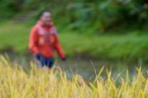 BIB: 
                            <button type="button" onclick="openModal(13491493)" class="btn btn-primary btn-sm float-right btn-popup" data-toggle="modal" data-target=".modal-high-quality">
                        <i class="fas fa-shopping-cart"></i> Add to Cart
                    </button>
                                            <button type="button" onclick="isThisMe(13491493, true)" class="btn btn-success btn-sm float-right btn-popup btn-isme hidden" data-toggle="tooltip" data-placement="bottom" title="นี่คือรูปของคุณใช่ไหม คลิกที่นี่เพื่อเอาเข้าอัลบั้ม">
                        <i class="fas fa-plus"></i> Add to album
                    </button>
                    <button type="button" onclick="isThisMe(13491493, false)" class="btn btn-warning btn-sm float-right btn-popup btn-isnotme hidden">
                        <i class="fas fa-ban"></i> Remove from album
                    </button>