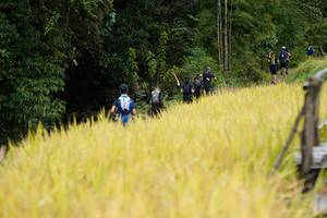 BIB: 
                            <button type="button" onclick="openModal(13493104)" class="btn btn-primary btn-sm float-right btn-popup" data-toggle="modal" data-target=".modal-high-quality">
                        <i class="fas fa-shopping-cart"></i> Add to Cart
                    </button>
                                            <button type="button" onclick="isThisMe(13493104, true)" class="btn btn-success btn-sm float-right btn-popup btn-isme hidden" data-toggle="tooltip" data-placement="bottom" title="นี่คือรูปของคุณใช่ไหม คลิกที่นี่เพื่อเอาเข้าอัลบั้ม">
                        <i class="fas fa-plus"></i> Add to album
                    </button>
                    <button type="button" onclick="isThisMe(13493104, false)" class="btn btn-warning btn-sm float-right btn-popup btn-isnotme hidden">
                        <i class="fas fa-ban"></i> Remove from album
                    </button>