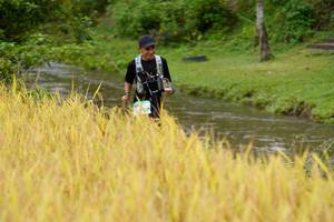 BIB: 
                            <button type="button" onclick="openModal(13493069)" class="btn btn-primary btn-sm float-right btn-popup" data-toggle="modal" data-target=".modal-high-quality">
                        <i class="fas fa-shopping-cart"></i> Add to Cart
                    </button>
                                            <button type="button" onclick="isThisMe(13493069, true)" class="btn btn-success btn-sm float-right btn-popup btn-isme hidden" data-toggle="tooltip" data-placement="bottom" title="นี่คือรูปของคุณใช่ไหม คลิกที่นี่เพื่อเอาเข้าอัลบั้ม">
                        <i class="fas fa-plus"></i> Add to album
                    </button>
                    <button type="button" onclick="isThisMe(13493069, false)" class="btn btn-warning btn-sm float-right btn-popup btn-isnotme hidden">
                        <i class="fas fa-ban"></i> Remove from album
                    </button>