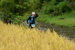 BIB: 1269, 
                            <button type="button" onclick="openModal(13492700)" class="btn btn-primary btn-sm float-right btn-popup" data-toggle="modal" data-target=".modal-high-quality">
                        <i class="fas fa-shopping-cart"></i> Add to Cart
                    </button>
                                            <button type="button" onclick="isThisMe(13492700, true)" class="btn btn-success btn-sm float-right btn-popup btn-isme hidden" data-toggle="tooltip" data-placement="bottom" title="นี่คือรูปของคุณใช่ไหม คลิกที่นี่เพื่อเอาเข้าอัลบั้ม">
                        <i class="fas fa-plus"></i> Add to album
                    </button>
                    <button type="button" onclick="isThisMe(13492700, false)" class="btn btn-warning btn-sm float-right btn-popup btn-isnotme hidden">
                        <i class="fas fa-ban"></i> Remove from album
                    </button>