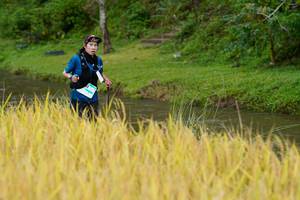 BIB: 
                            <button type="button" onclick="openModal(13491161)" class="btn btn-primary btn-sm float-right btn-popup" data-toggle="modal" data-target=".modal-high-quality">
                        <i class="fas fa-shopping-cart"></i> Add to Cart
                    </button>
                                            <button type="button" onclick="isThisMe(13491161, true)" class="btn btn-success btn-sm float-right btn-popup btn-isme hidden" data-toggle="tooltip" data-placement="bottom" title="นี่คือรูปของคุณใช่ไหม คลิกที่นี่เพื่อเอาเข้าอัลบั้ม">
                        <i class="fas fa-plus"></i> Add to album
                    </button>
                    <button type="button" onclick="isThisMe(13491161, false)" class="btn btn-warning btn-sm float-right btn-popup btn-isnotme hidden">
                        <i class="fas fa-ban"></i> Remove from album
                    </button>