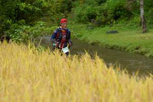 BIB: 
                            <button type="button" onclick="openModal(13492334)" class="btn btn-primary btn-sm float-right btn-popup" data-toggle="modal" data-target=".modal-high-quality">
                        <i class="fas fa-shopping-cart"></i> Add to Cart
                    </button>
                                            <button type="button" onclick="isThisMe(13492334, true)" class="btn btn-success btn-sm float-right btn-popup btn-isme hidden" data-toggle="tooltip" data-placement="bottom" title="นี่คือรูปของคุณใช่ไหม คลิกที่นี่เพื่อเอาเข้าอัลบั้ม">
                        <i class="fas fa-plus"></i> Add to album
                    </button>
                    <button type="button" onclick="isThisMe(13492334, false)" class="btn btn-warning btn-sm float-right btn-popup btn-isnotme hidden">
                        <i class="fas fa-ban"></i> Remove from album
                    </button>