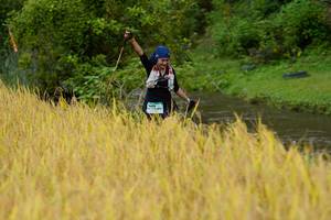 BIB: 
                            <button type="button" onclick="openModal(13492573)" class="btn btn-primary btn-sm float-right btn-popup" data-toggle="modal" data-target=".modal-high-quality">
                        <i class="fas fa-shopping-cart"></i> Add to Cart
                    </button>
                                            <button type="button" onclick="isThisMe(13492573, true)" class="btn btn-success btn-sm float-right btn-popup btn-isme hidden" data-toggle="tooltip" data-placement="bottom" title="นี่คือรูปของคุณใช่ไหม คลิกที่นี่เพื่อเอาเข้าอัลบั้ม">
                        <i class="fas fa-plus"></i> Add to album
                    </button>
                    <button type="button" onclick="isThisMe(13492573, false)" class="btn btn-warning btn-sm float-right btn-popup btn-isnotme hidden">
                        <i class="fas fa-ban"></i> Remove from album
                    </button>