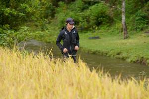 BIB: 
                            <button type="button" onclick="openModal(13492364)" class="btn btn-primary btn-sm float-right btn-popup" data-toggle="modal" data-target=".modal-high-quality">
                        <i class="fas fa-shopping-cart"></i> Add to Cart
                    </button>
                                            <button type="button" onclick="isThisMe(13492364, true)" class="btn btn-success btn-sm float-right btn-popup btn-isme hidden" data-toggle="tooltip" data-placement="bottom" title="นี่คือรูปของคุณใช่ไหม คลิกที่นี่เพื่อเอาเข้าอัลบั้ม">
                        <i class="fas fa-plus"></i> Add to album
                    </button>
                    <button type="button" onclick="isThisMe(13492364, false)" class="btn btn-warning btn-sm float-right btn-popup btn-isnotme hidden">
                        <i class="fas fa-ban"></i> Remove from album
                    </button>