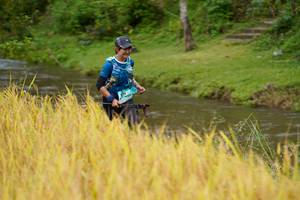 BIB: 
                            <button type="button" onclick="openModal(13493645)" class="btn btn-primary btn-sm float-right btn-popup" data-toggle="modal" data-target=".modal-high-quality">
                        <i class="fas fa-shopping-cart"></i> Add to Cart
                    </button>
                                            <button type="button" onclick="isThisMe(13493645, true)" class="btn btn-success btn-sm float-right btn-popup btn-isme hidden" data-toggle="tooltip" data-placement="bottom" title="นี่คือรูปของคุณใช่ไหม คลิกที่นี่เพื่อเอาเข้าอัลบั้ม">
                        <i class="fas fa-plus"></i> Add to album
                    </button>
                    <button type="button" onclick="isThisMe(13493645, false)" class="btn btn-warning btn-sm float-right btn-popup btn-isnotme hidden">
                        <i class="fas fa-ban"></i> Remove from album
                    </button>