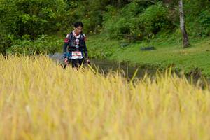 BIB: 
                            <button type="button" onclick="openModal(13491217)" class="btn btn-primary btn-sm float-right btn-popup" data-toggle="modal" data-target=".modal-high-quality">
                        <i class="fas fa-shopping-cart"></i> Add to Cart
                    </button>
                                            <button type="button" onclick="isThisMe(13491217, true)" class="btn btn-success btn-sm float-right btn-popup btn-isme hidden" data-toggle="tooltip" data-placement="bottom" title="นี่คือรูปของคุณใช่ไหม คลิกที่นี่เพื่อเอาเข้าอัลบั้ม">
                        <i class="fas fa-plus"></i> Add to album
                    </button>
                    <button type="button" onclick="isThisMe(13491217, false)" class="btn btn-warning btn-sm float-right btn-popup btn-isnotme hidden">
                        <i class="fas fa-ban"></i> Remove from album
                    </button>