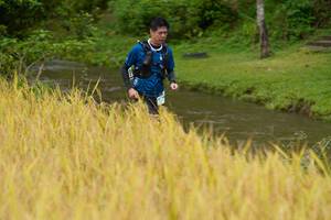 BIB: 
                            <button type="button" onclick="openModal(13492303)" class="btn btn-primary btn-sm float-right btn-popup" data-toggle="modal" data-target=".modal-high-quality">
                        <i class="fas fa-shopping-cart"></i> Add to Cart
                    </button>
                                            <button type="button" onclick="isThisMe(13492303, true)" class="btn btn-success btn-sm float-right btn-popup btn-isme hidden" data-toggle="tooltip" data-placement="bottom" title="นี่คือรูปของคุณใช่ไหม คลิกที่นี่เพื่อเอาเข้าอัลบั้ม">
                        <i class="fas fa-plus"></i> Add to album
                    </button>
                    <button type="button" onclick="isThisMe(13492303, false)" class="btn btn-warning btn-sm float-right btn-popup btn-isnotme hidden">
                        <i class="fas fa-ban"></i> Remove from album
                    </button>