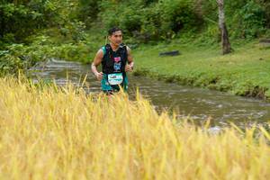 BIB: 1481, 
                            <button type="button" onclick="openModal(13491815)" class="btn btn-primary btn-sm float-right btn-popup" data-toggle="modal" data-target=".modal-high-quality">
                        <i class="fas fa-shopping-cart"></i> Add to Cart
                    </button>
                                            <button type="button" onclick="isThisMe(13491815, true)" class="btn btn-success btn-sm float-right btn-popup btn-isme hidden" data-toggle="tooltip" data-placement="bottom" title="นี่คือรูปของคุณใช่ไหม คลิกที่นี่เพื่อเอาเข้าอัลบั้ม">
                        <i class="fas fa-plus"></i> Add to album
                    </button>
                    <button type="button" onclick="isThisMe(13491815, false)" class="btn btn-warning btn-sm float-right btn-popup btn-isnotme hidden">
                        <i class="fas fa-ban"></i> Remove from album
                    </button>