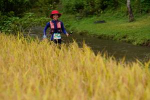 BIB: 151
                            <button type="button" onclick="openModal(13492510)" class="btn btn-primary btn-sm float-right btn-popup" data-toggle="modal" data-target=".modal-high-quality">
                        <i class="fas fa-shopping-cart"></i> Add to Cart
                    </button>
                                            <button type="button" onclick="isThisMe(13492510, true)" class="btn btn-success btn-sm float-right btn-popup btn-isme hidden" data-toggle="tooltip" data-placement="bottom" title="นี่คือรูปของคุณใช่ไหม คลิกที่นี่เพื่อเอาเข้าอัลบั้ม">
                        <i class="fas fa-plus"></i> Add to album
                    </button>
                    <button type="button" onclick="isThisMe(13492510, false)" class="btn btn-warning btn-sm float-right btn-popup btn-isnotme hidden">
                        <i class="fas fa-ban"></i> Remove from album
                    </button>