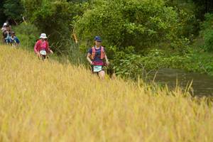 BIB: 
                            <button type="button" onclick="openModal(13492216)" class="btn btn-primary btn-sm float-right btn-popup" data-toggle="modal" data-target=".modal-high-quality">
                        <i class="fas fa-shopping-cart"></i> Add to Cart
                    </button>
                                            <button type="button" onclick="isThisMe(13492216, true)" class="btn btn-success btn-sm float-right btn-popup btn-isme hidden" data-toggle="tooltip" data-placement="bottom" title="นี่คือรูปของคุณใช่ไหม คลิกที่นี่เพื่อเอาเข้าอัลบั้ม">
                        <i class="fas fa-plus"></i> Add to album
                    </button>
                    <button type="button" onclick="isThisMe(13492216, false)" class="btn btn-warning btn-sm float-right btn-popup btn-isnotme hidden">
                        <i class="fas fa-ban"></i> Remove from album
                    </button>