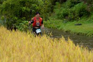 BIB: 
                            <button type="button" onclick="openModal(13493223)" class="btn btn-primary btn-sm float-right btn-popup" data-toggle="modal" data-target=".modal-high-quality">
                        <i class="fas fa-shopping-cart"></i> Add to Cart
                    </button>
                                            <button type="button" onclick="isThisMe(13493223, true)" class="btn btn-success btn-sm float-right btn-popup btn-isme hidden" data-toggle="tooltip" data-placement="bottom" title="นี่คือรูปของคุณใช่ไหม คลิกที่นี่เพื่อเอาเข้าอัลบั้ม">
                        <i class="fas fa-plus"></i> Add to album
                    </button>
                    <button type="button" onclick="isThisMe(13493223, false)" class="btn btn-warning btn-sm float-right btn-popup btn-isnotme hidden">
                        <i class="fas fa-ban"></i> Remove from album
                    </button>